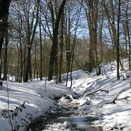 Beim Imker Radevormwald